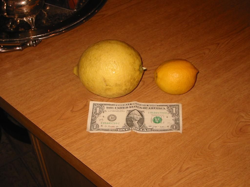 Lemons 2015 photo bigLemon2_zpsbszqqygl_1.jpg